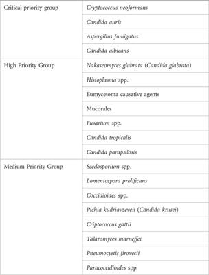 Harnessing inter-kingdom metabolic disparities at the human-fungal interface for novel therapeutic approaches